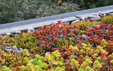 the cost of Roman Hill green roof installation
