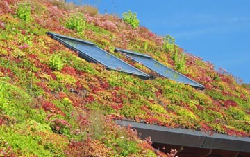 Roman Hill living roof systems