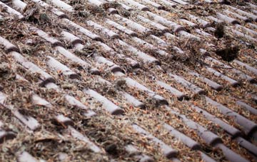 Roman Hill roof cleaning companies